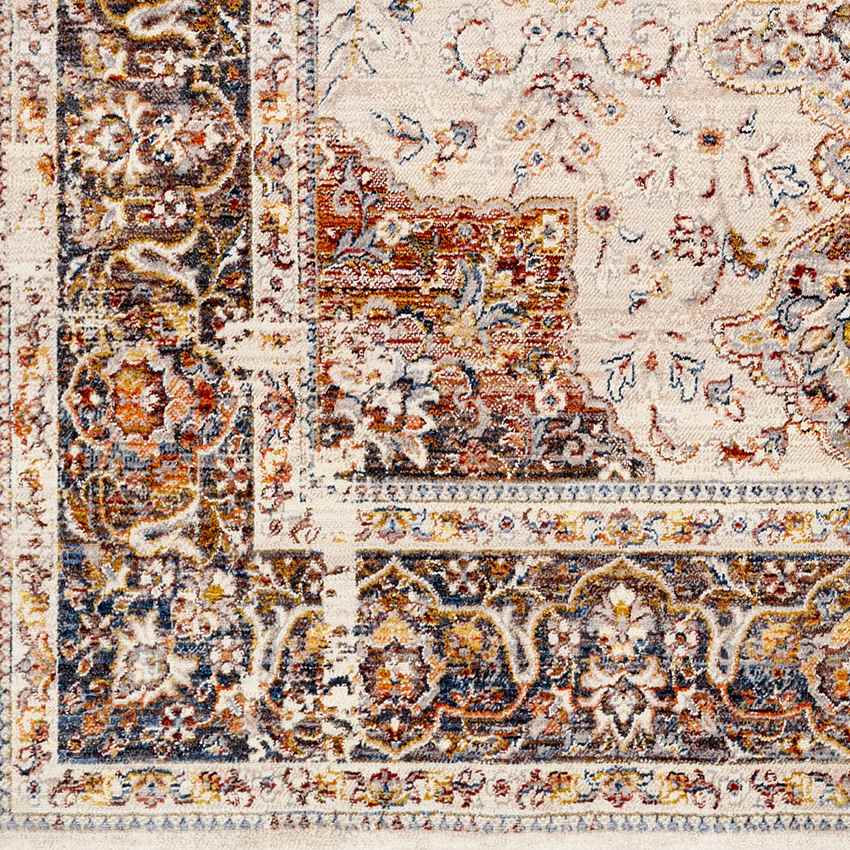 Willow Hill Traditional Burnt Orange Area Rug