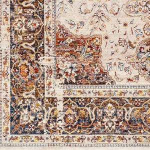 Willow Hill Traditional Burnt Orange Area Rug