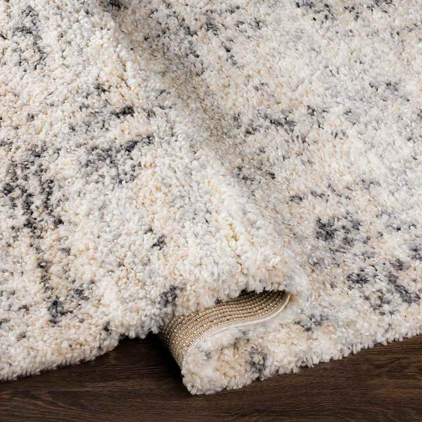 Indian Head Park Modern Light Gray Area Rug