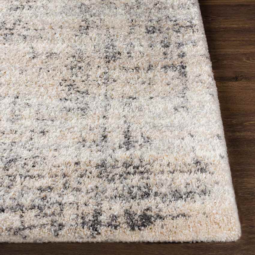 Indian Head Park Modern Light Gray Area Rug