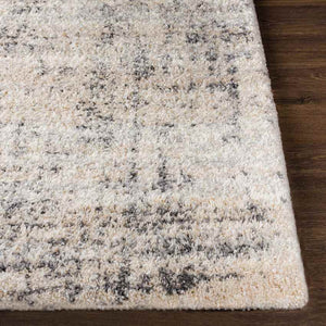 Indian Head Park Modern Light Gray Area Rug