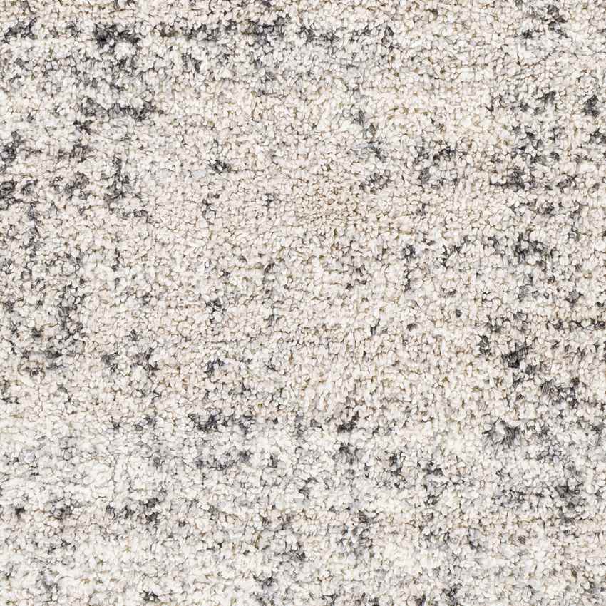 Indian Head Park Modern Light Gray Area Rug
