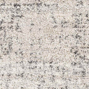 Indian Head Park Modern Light Gray Area Rug