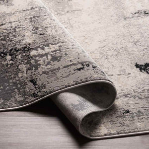 Lake Ka-ho Modern Charcoal Area Rug