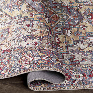 Manche Traditional Burnt Orange Area Rug