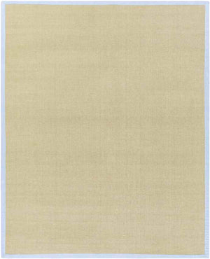 Camborne Global Sky Blue Area Rug