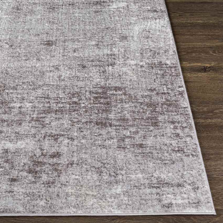 Le Robert Modern Gray Area Rug