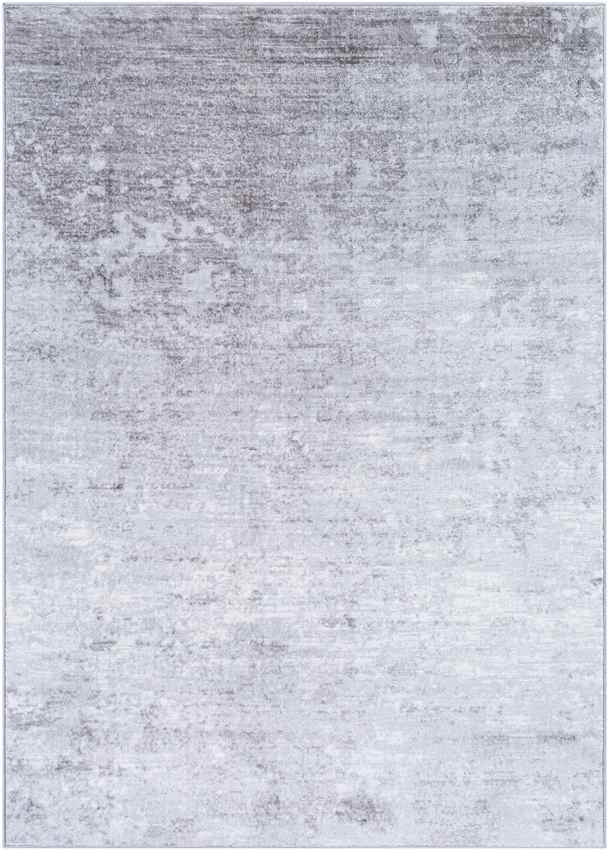 Le Robert Modern Light Gray Area Rug