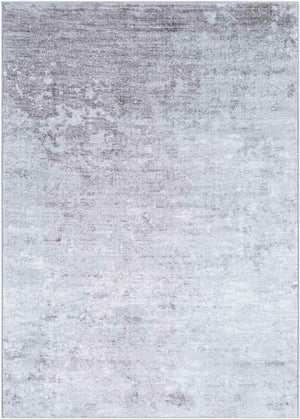 Le Robert Modern Light Gray Area Rug