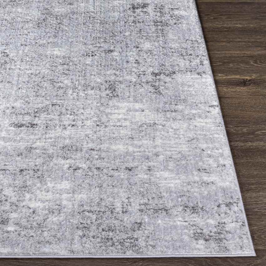 Le Robert Modern Light Gray Area Rug