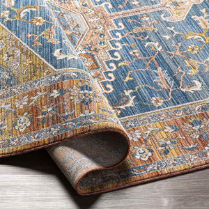 Sanborn Traditional Rust Area Rug