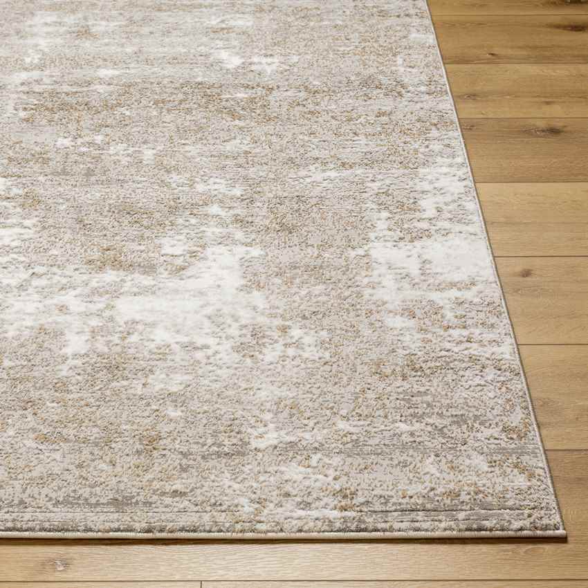 Grand River Modern Beige Area Rug