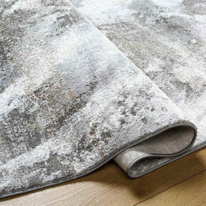 Guthrie Center Modern Light Gray Area Rug