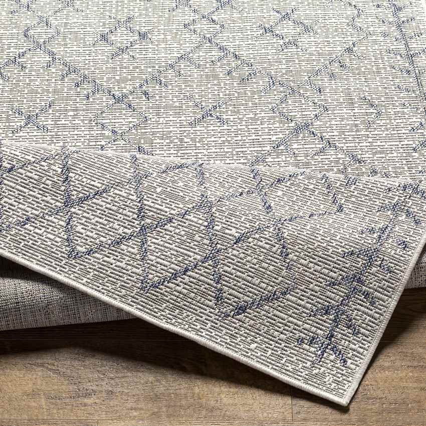 Wijnaldum Global Navy Area Rug