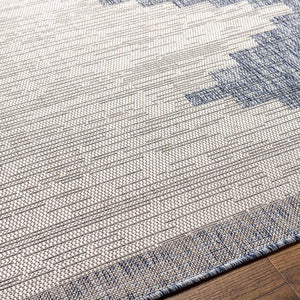 Wolfheze Global Denim Area Rug