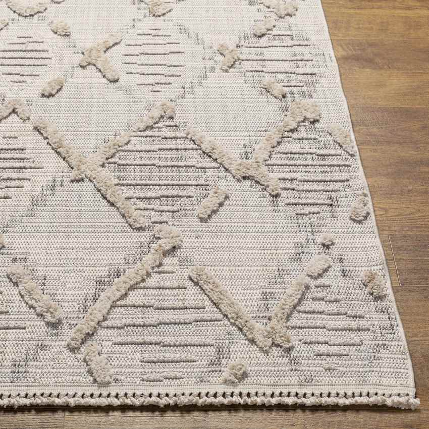 Linn Grove Global Ivory Area Rug