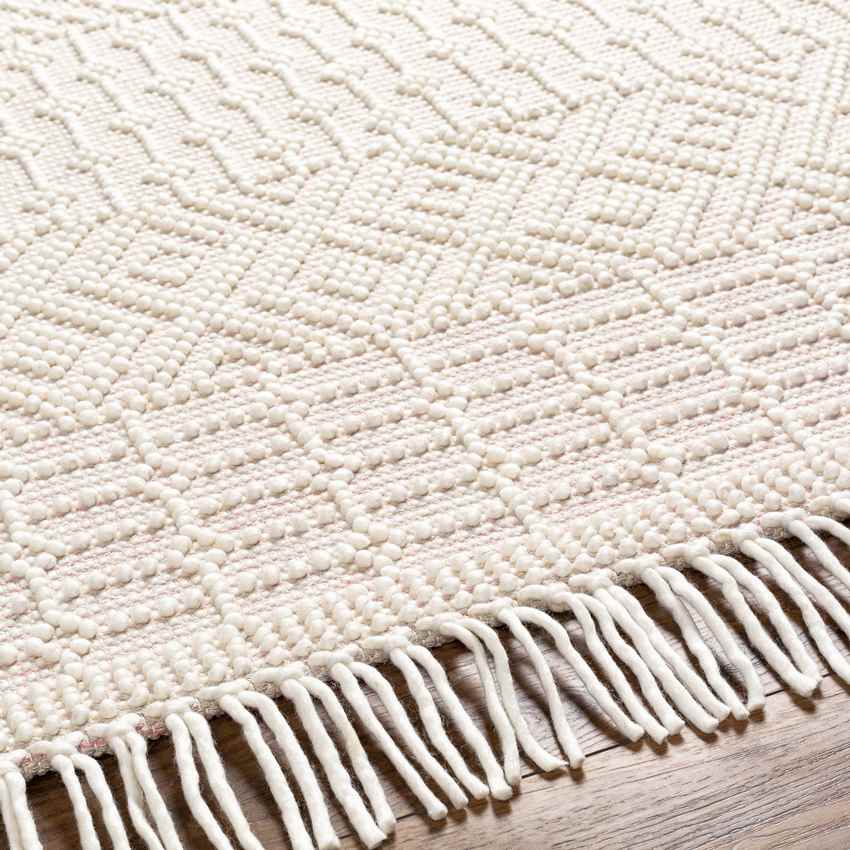 Gratz Global Blush Area Rug