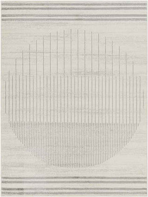 Neerbosch Modern Gray Area Rug