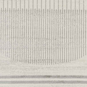 Neerbosch Modern Gray Area Rug