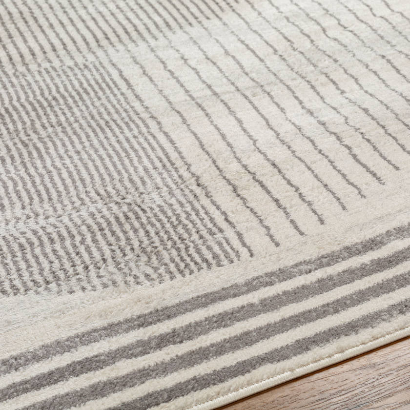 Lakin Modern Medium Gray Area Rug