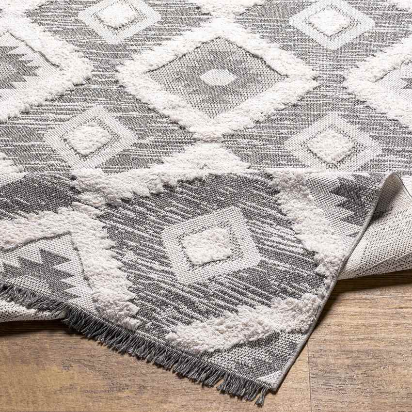 Moran Rustic Light Gray Area Rug