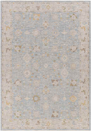 Atlantic Traditional Pale Blue Area Rug
