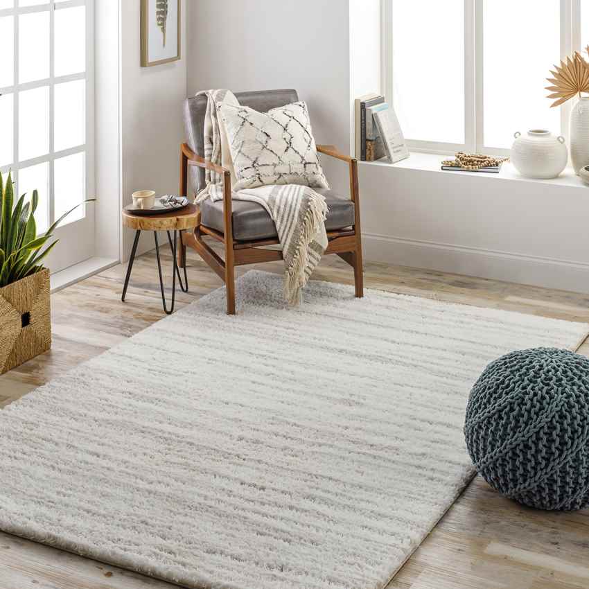 Boyer Modern Light Gray Area Rug