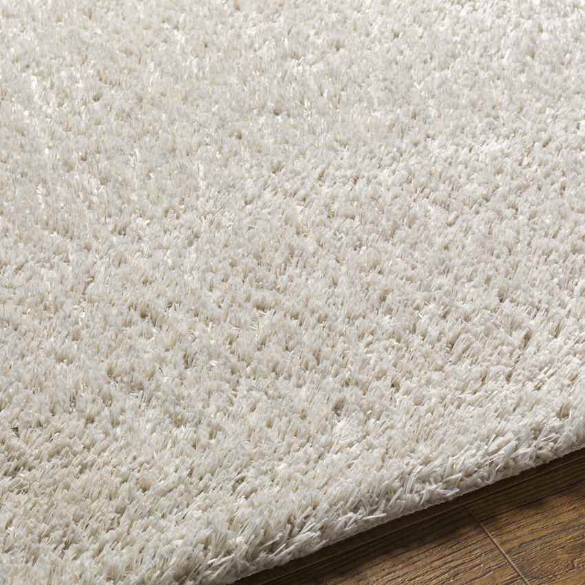 Boyer Modern Light Gray Area Rug