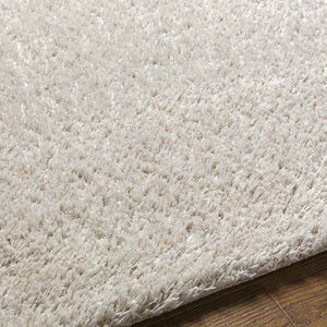 Boyer Modern Light Gray Area Rug