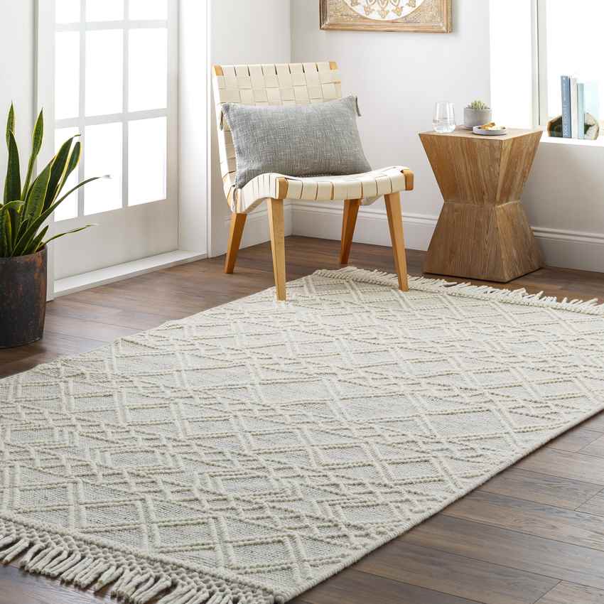 Copeland Global Gray Area Rug