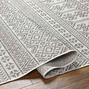 Solomon Global Silver Gray Area Rug