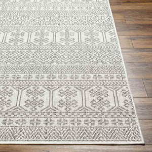 Solomon Global Silver Gray Area Rug