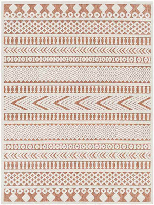 Chapman Modern Burnt Orange Area Rug