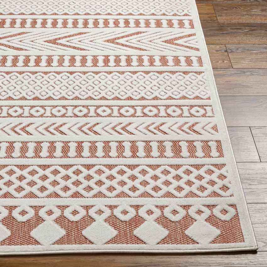 Chapman Modern Burnt Orange Area Rug