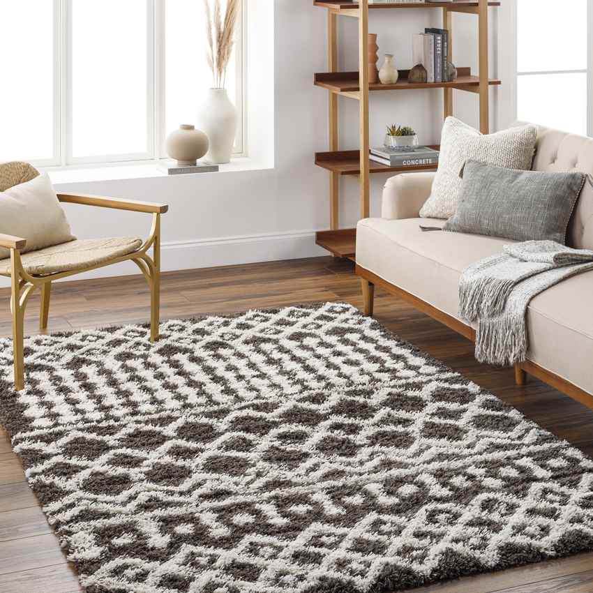 Carter Global Charcoal Area Rug