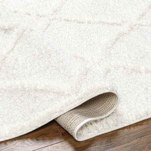 Hutchinson Modern Cream Area Rug