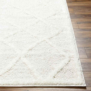 Hutchinson Modern Cream Area Rug