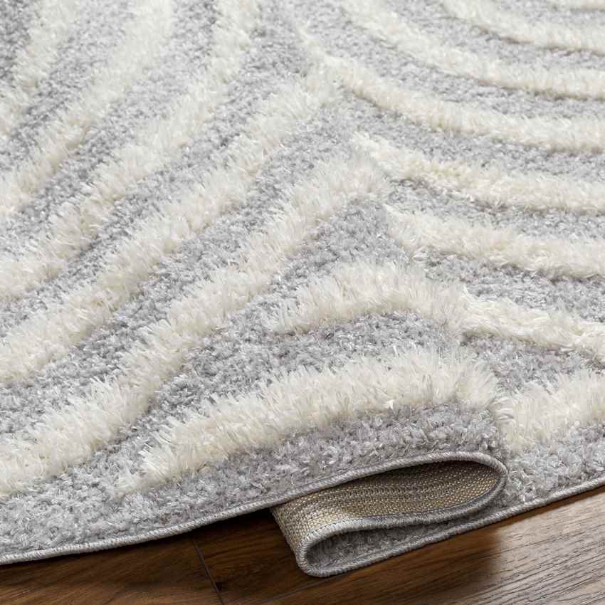 Long Island Modern Gray Area Rug