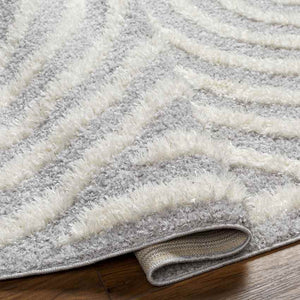 Long Island Modern Gray Area Rug