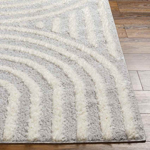 Long Island Modern Gray Area Rug