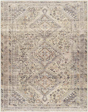 Tonganoxie Traditional Beige Washable Area Rug