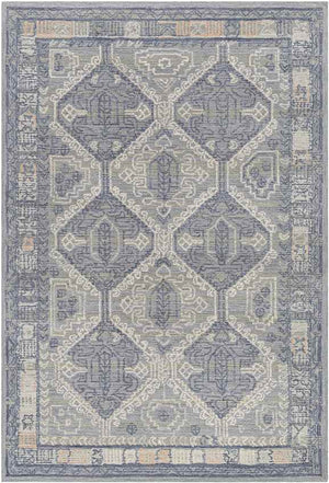 Buffalo Center Traditional Medium Gray Area Rug