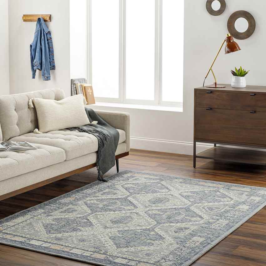 Buffalo Center Traditional Medium Gray Area Rug