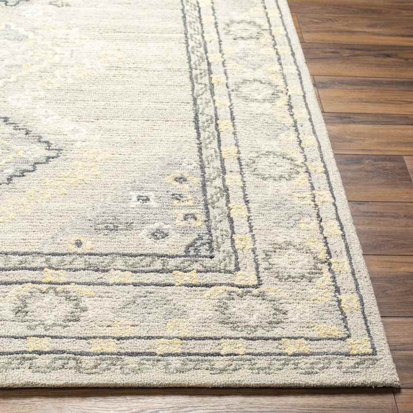 Conway Springs Traditional Khaki/Gray Area Rug