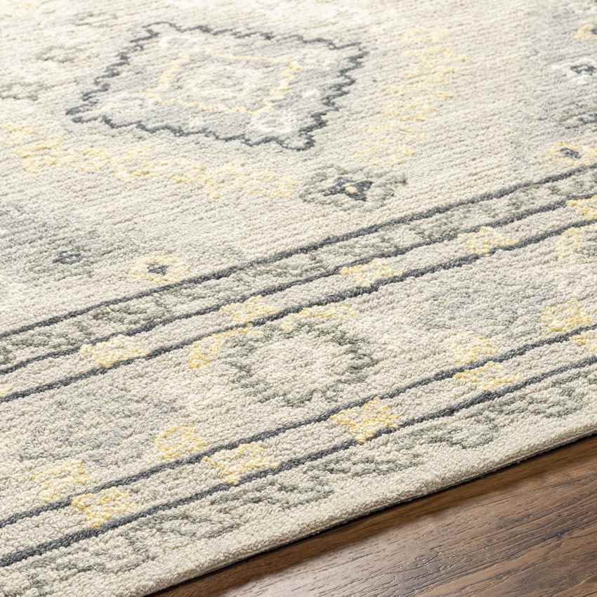 Conway Springs Traditional Khaki/Gray Area Rug