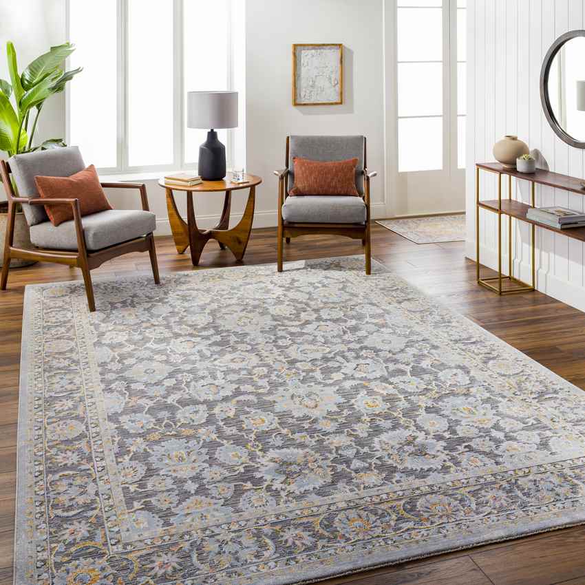 Mekia Traditional Medium Gray Area Rug