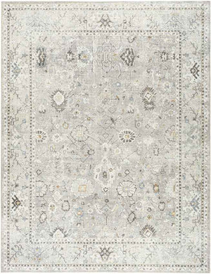 Davina Traditional Light Gray Area Rug - Becki Owens x Livabliss