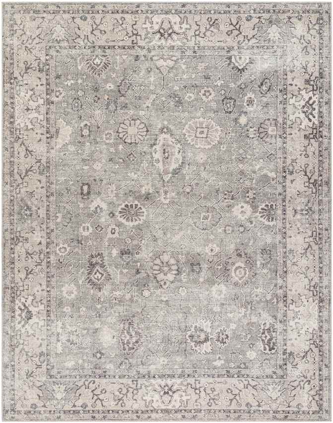 Davina Traditional Beige/Dark Brown Area Rug - Becki Owens x Livabliss