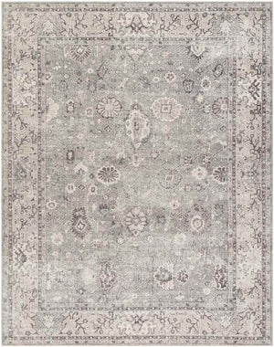 Davina Traditional Beige/Dark Brown Area Rug - Becki Owens x Livabliss