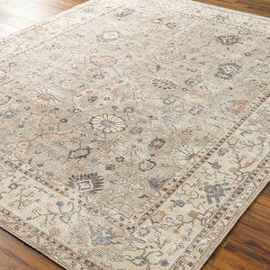 Davina Traditional Camel Area Rug - Becki Owens x Livabliss
